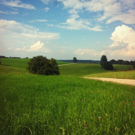 10691926_283826718473690_1597017438_n