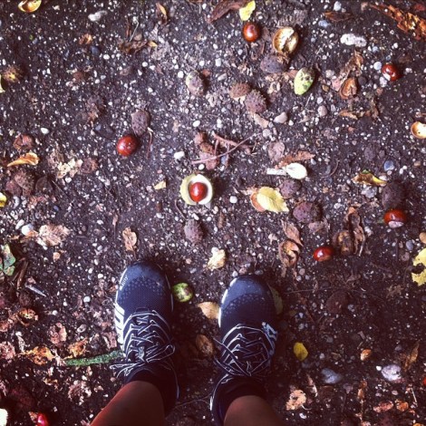 1168447_1482425402042274_2110136874_n