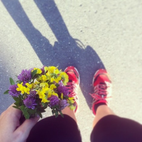 10467911_771270066250404_34716478_n