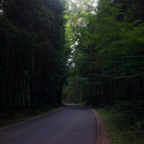 10632020_1534962056716231_2042297203_n