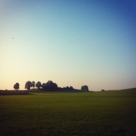 10691809_948034538547291_330284624_n