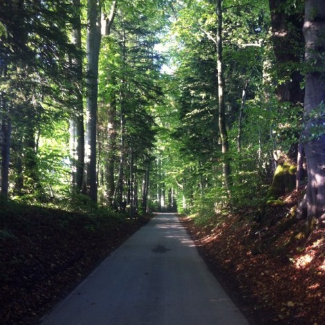 1390146_1477845035817890_377761466_n