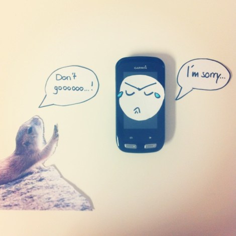 10747917_1510308589238825_450093536_n