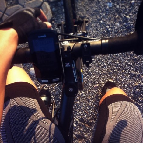 1389104_1512380102312771_427211462_n