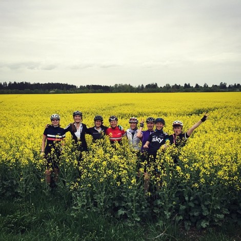 10607892_921683811187766_235665364_n