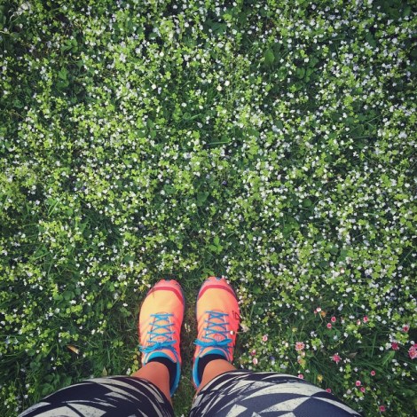 1599661_1406022133050365_140584224_n