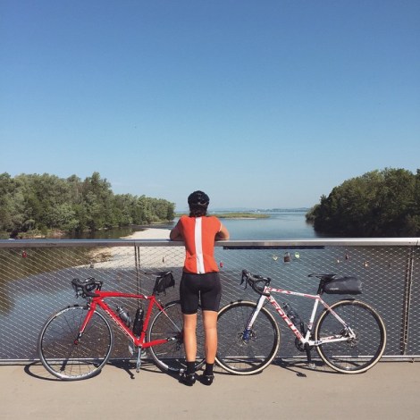 11378750_366155450250198_797500374_n