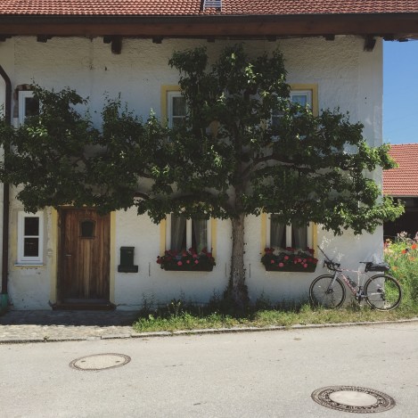 Foto 04.06.15 11 11 51