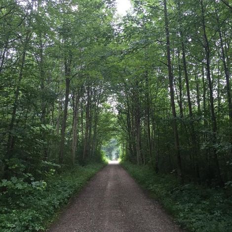 11266617_1447497085575939_800225524_n