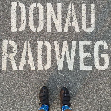 11311497_1680952458802964_1720161208_n