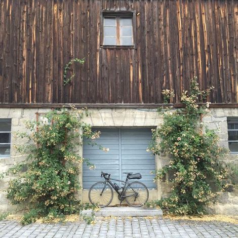 11348323_395988200591360_1979830141_n