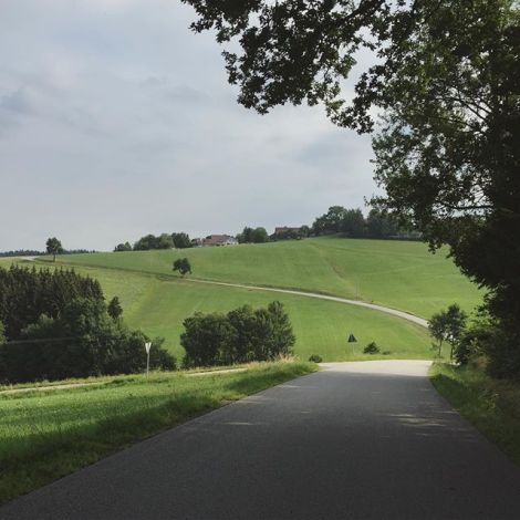 11357008_937752199599555_1367711617_n