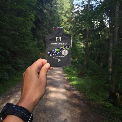 11875301_413656148822292_1208218961_n