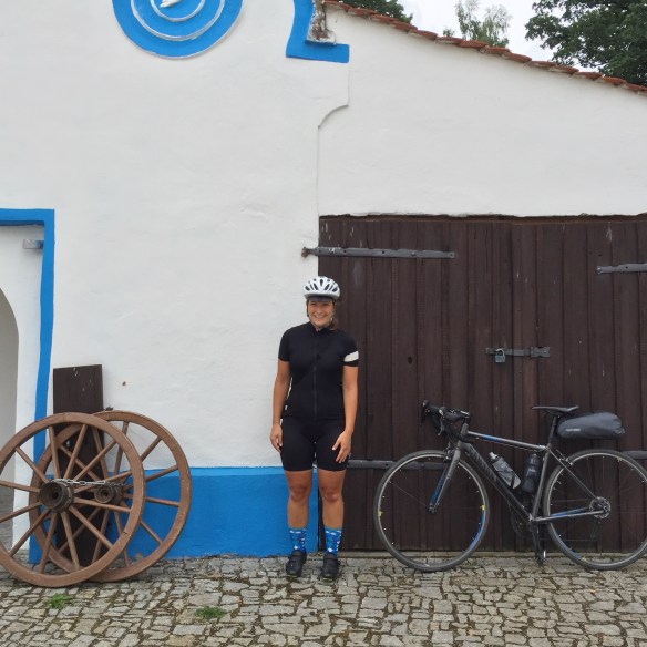 woom laufrad fahrrad GO 1 Plus Farbe:BXT Sand Dollar-C Planetary gears explained: A new-owner-my