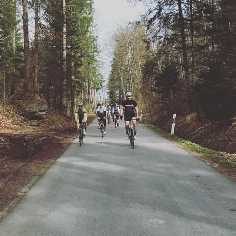 12935004_191799067871219_1279161281_n