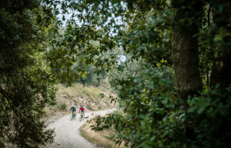 Bildschirmfoto 2017-04-04 um 10.44.18